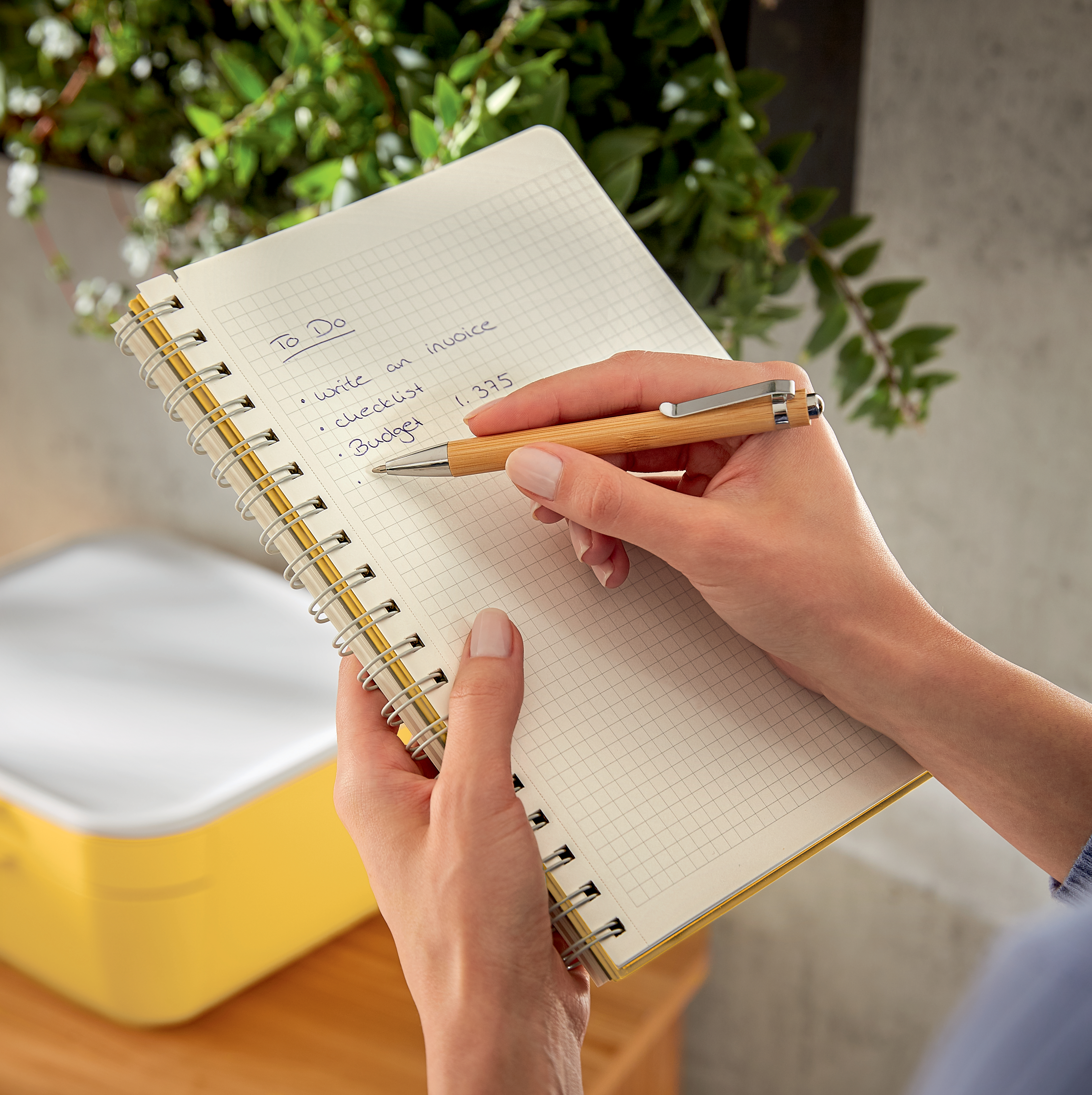 autograf